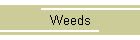Weeds